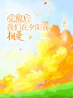 觉醒后，我们在夕阳前相爱